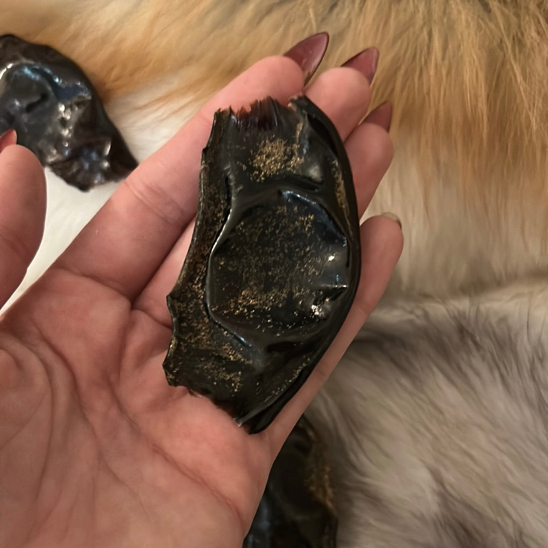 Shark Egg Capsule