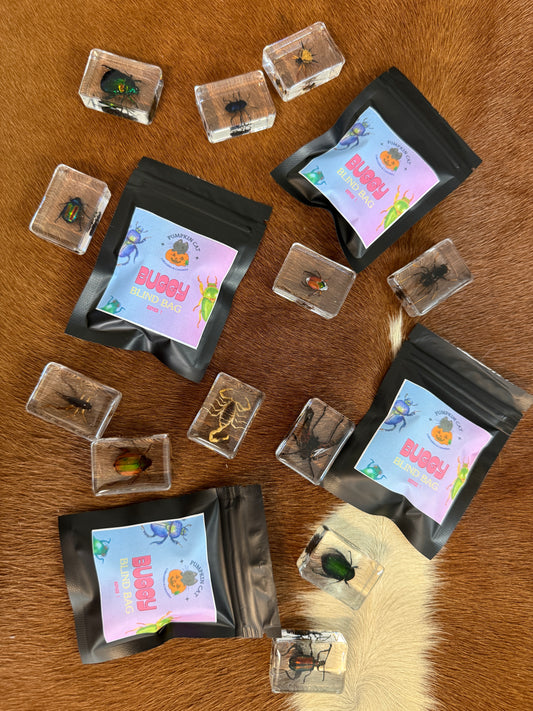 Buggy Blind Bag - Pumpkin Cat Collectables