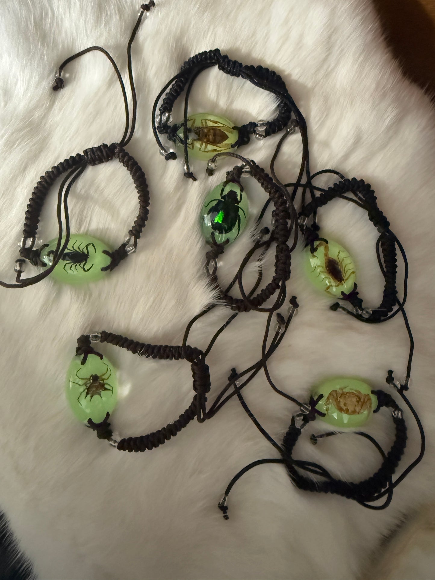 Insect in Resin woven Bracelet - Pumpkin Cat Collectables