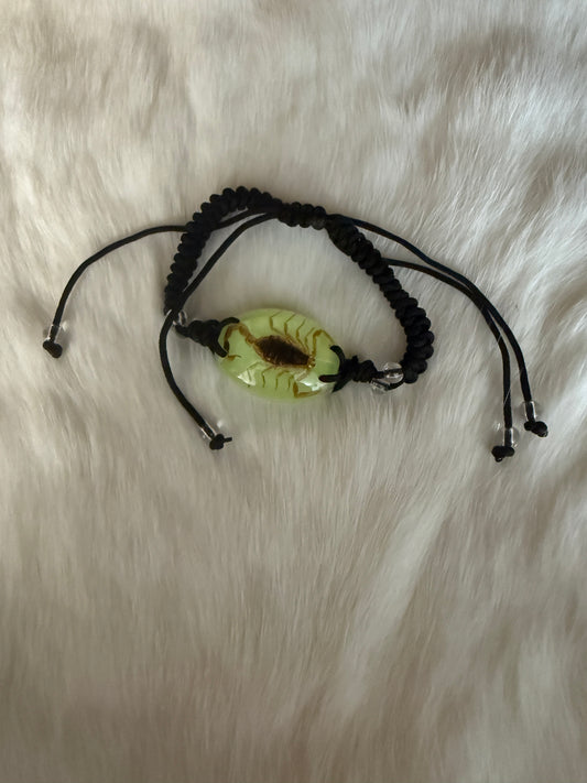 Insect in Resin woven Bracelet - Pumpkin Cat Collectables