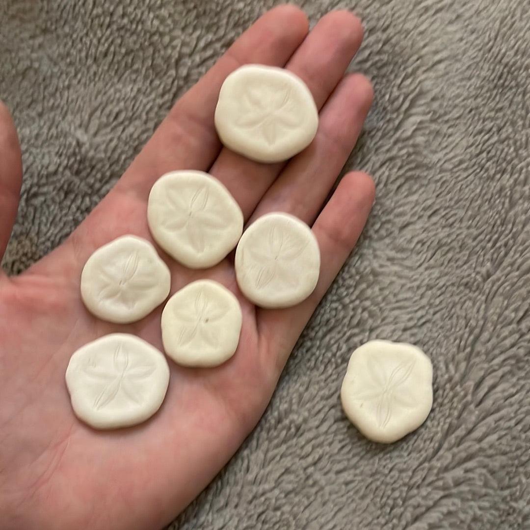 White Sand Dollar - Pumpkin Cat Collectables - pumpkincatcollectables.com