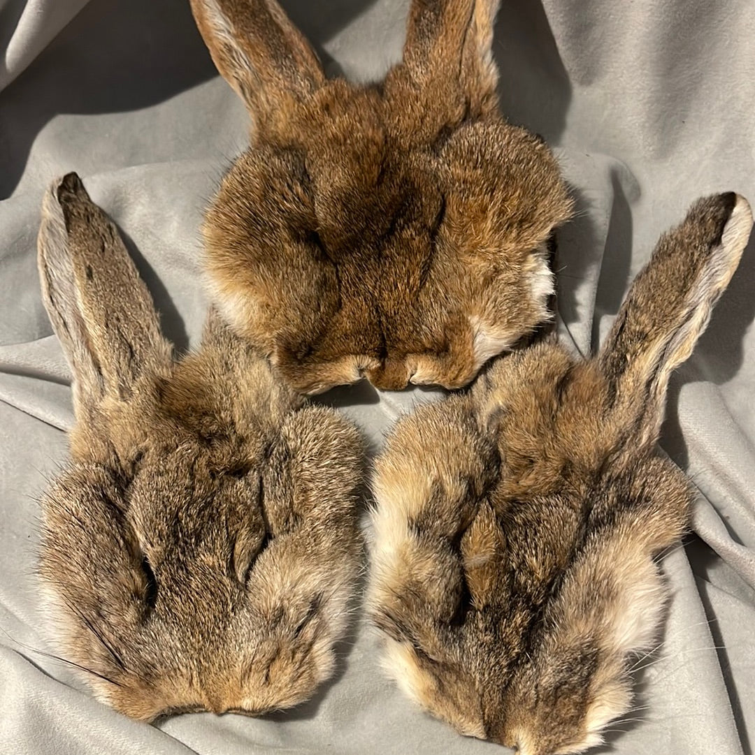 Hare Face Pelt