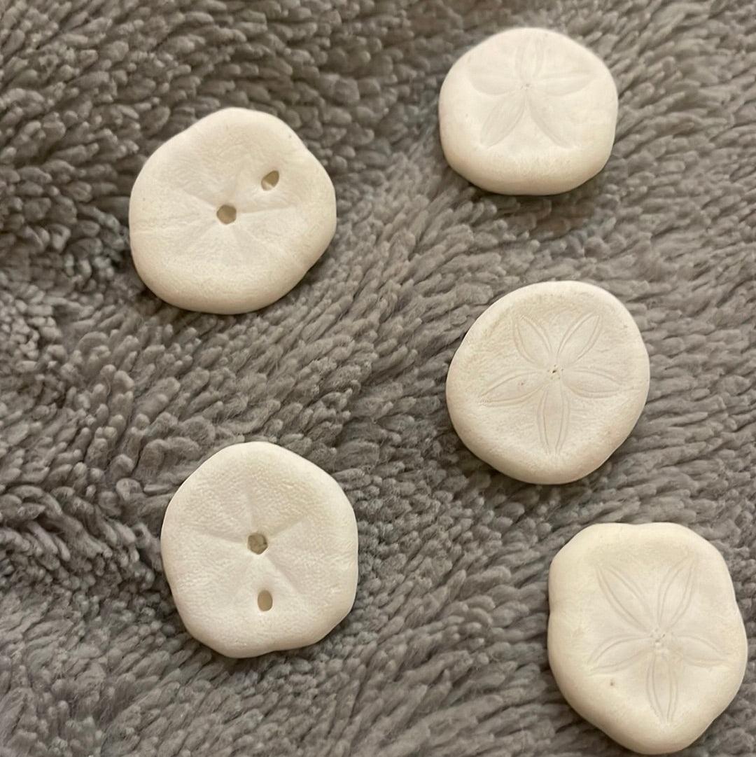 White Sand Dollar - Pumpkin Cat Collectables - pumpkincatcollectables.com