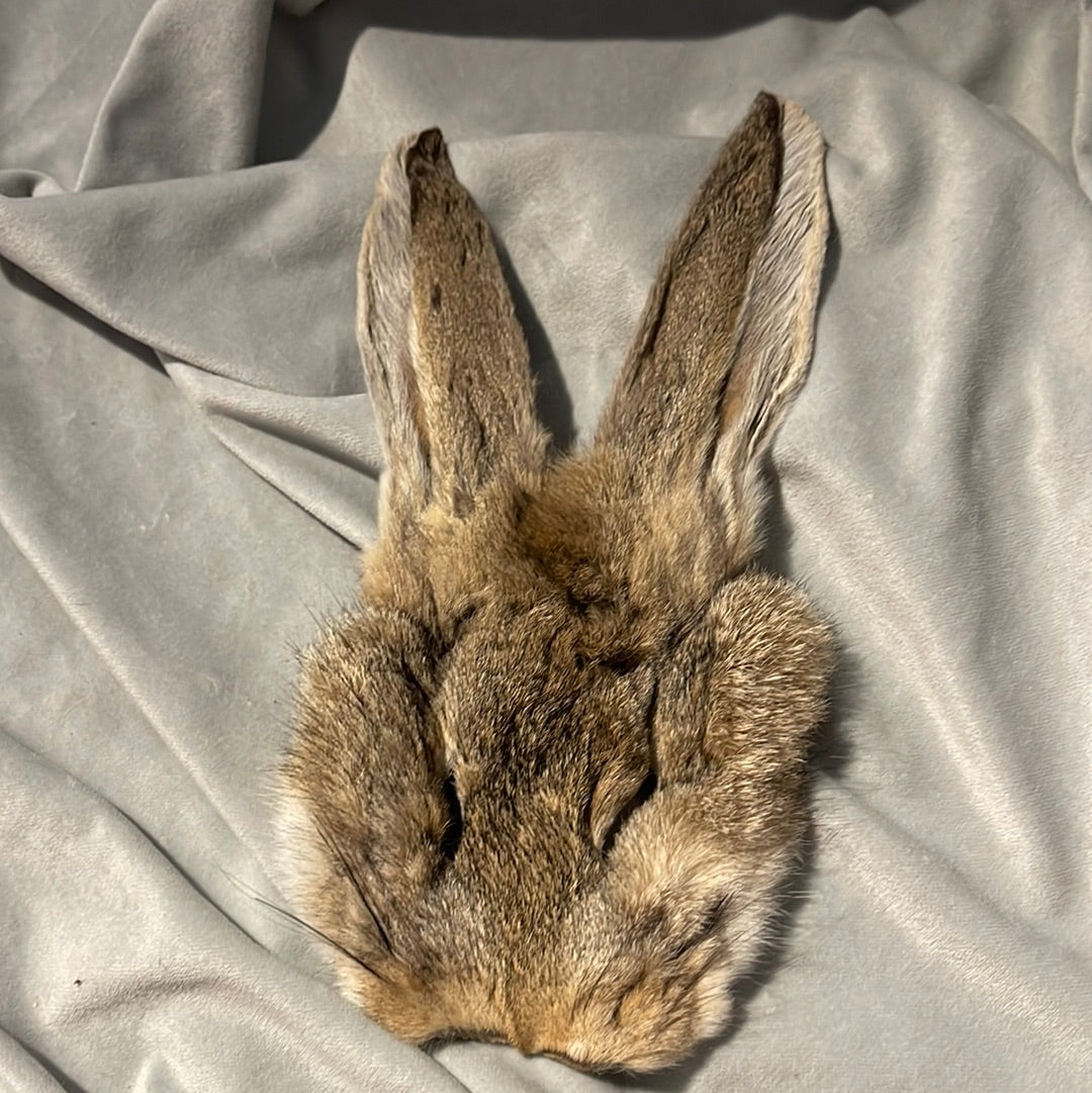 Hare Face Pelt