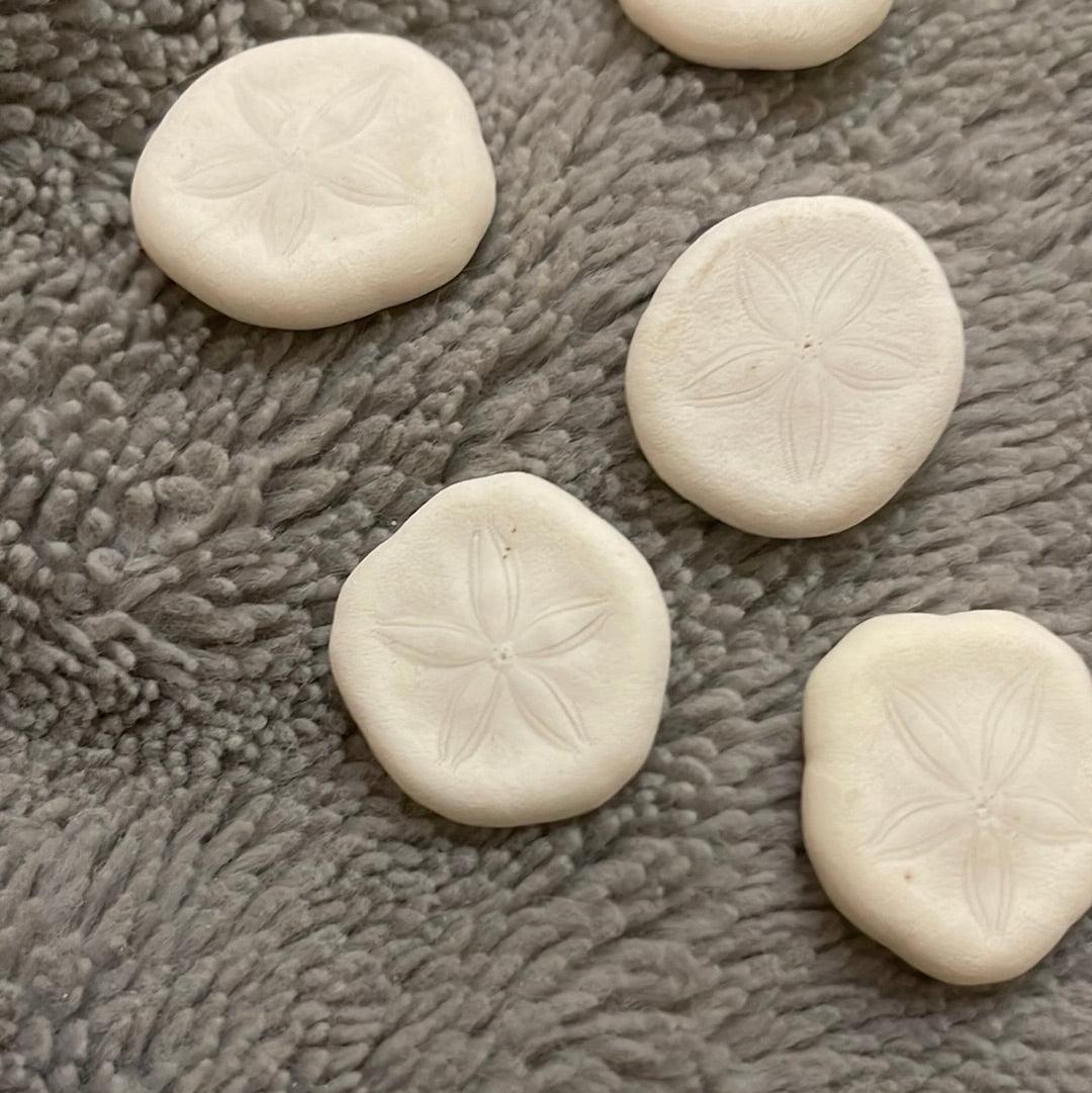 White Sand Dollar - Pumpkin Cat Collectables - pumpkincatcollectables.com