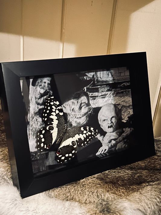 Freddy Krueger & Butterfly Frame