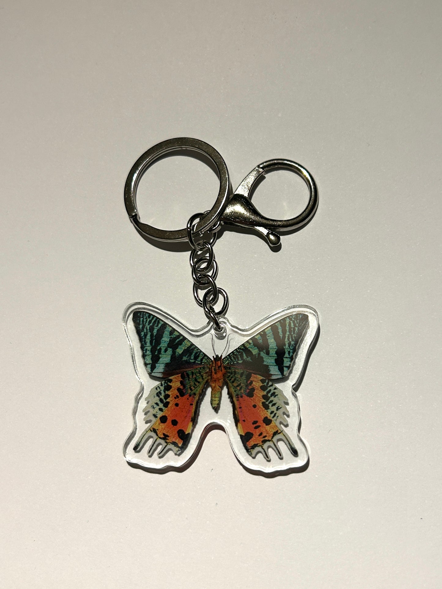 Urania Ripheus Moth Acrylic Keychain