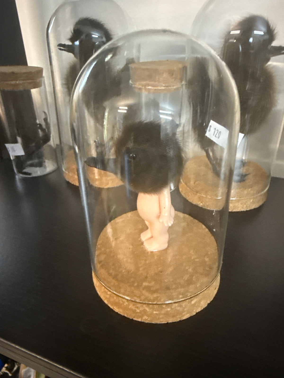 Sonny Duckling Dome