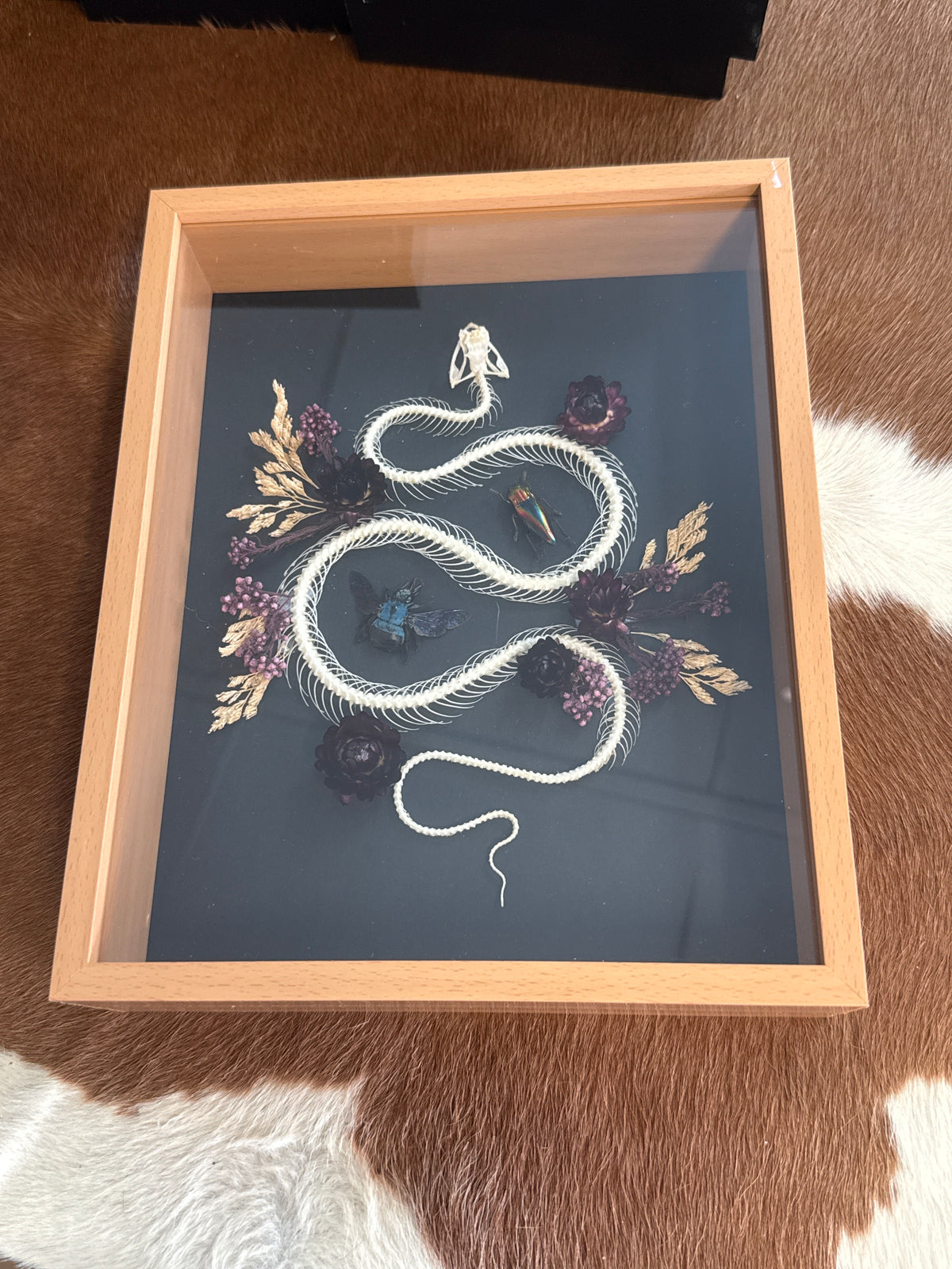 Trimeresurus albolabris Snake Skeleton & Insects Floral Frame