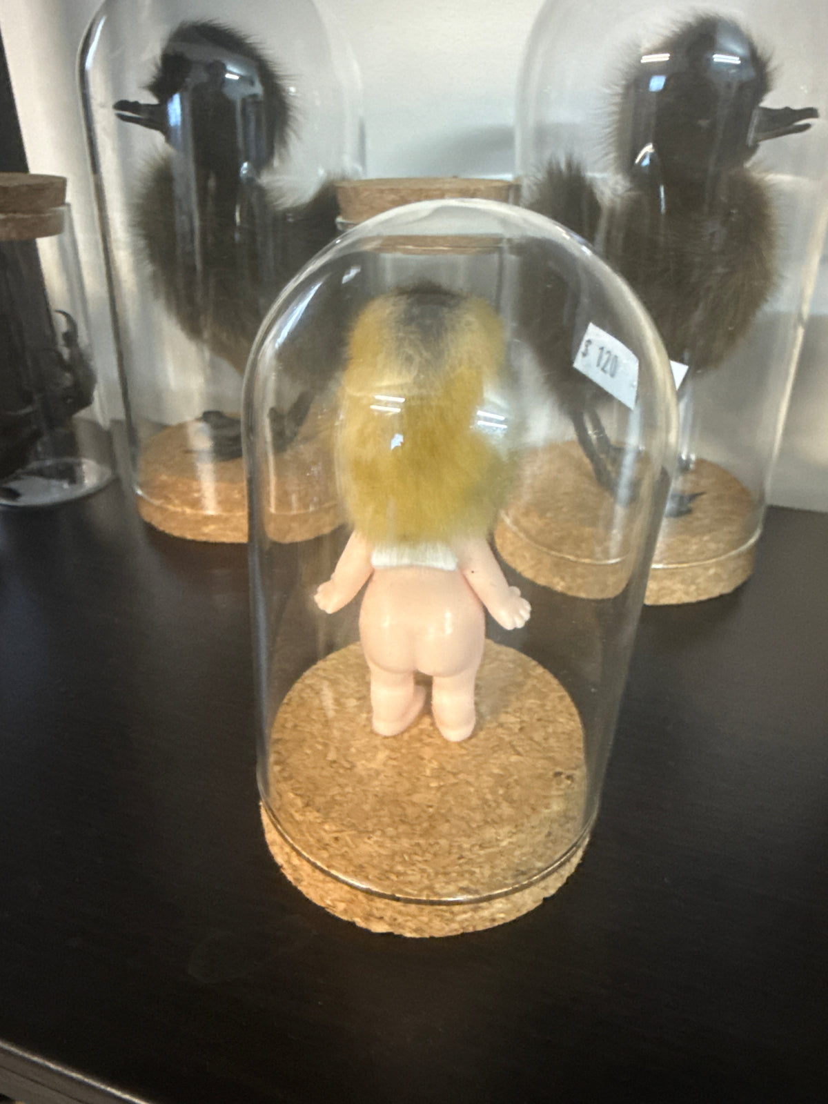 Sonny Duckling Dome