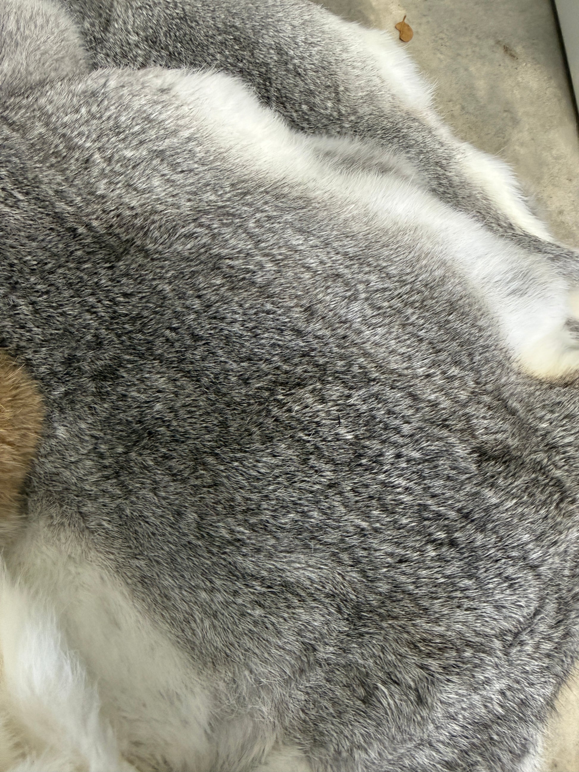 Rabbit Fur Pelt - Pumpkin Cat Collectables