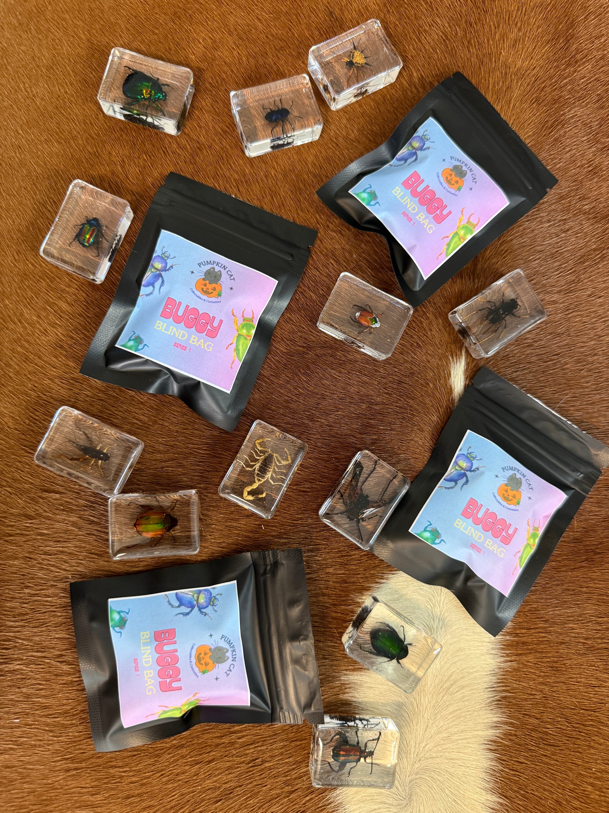 Buggy Blind Bag - Pumpkin Cat Collectables