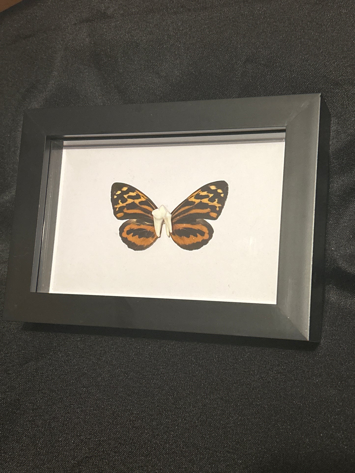 “Tooth Fairy” Frame