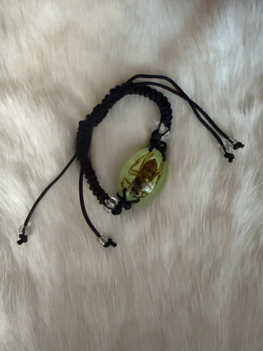 Insect in Resin woven Bracelet - Pumpkin Cat Collectables