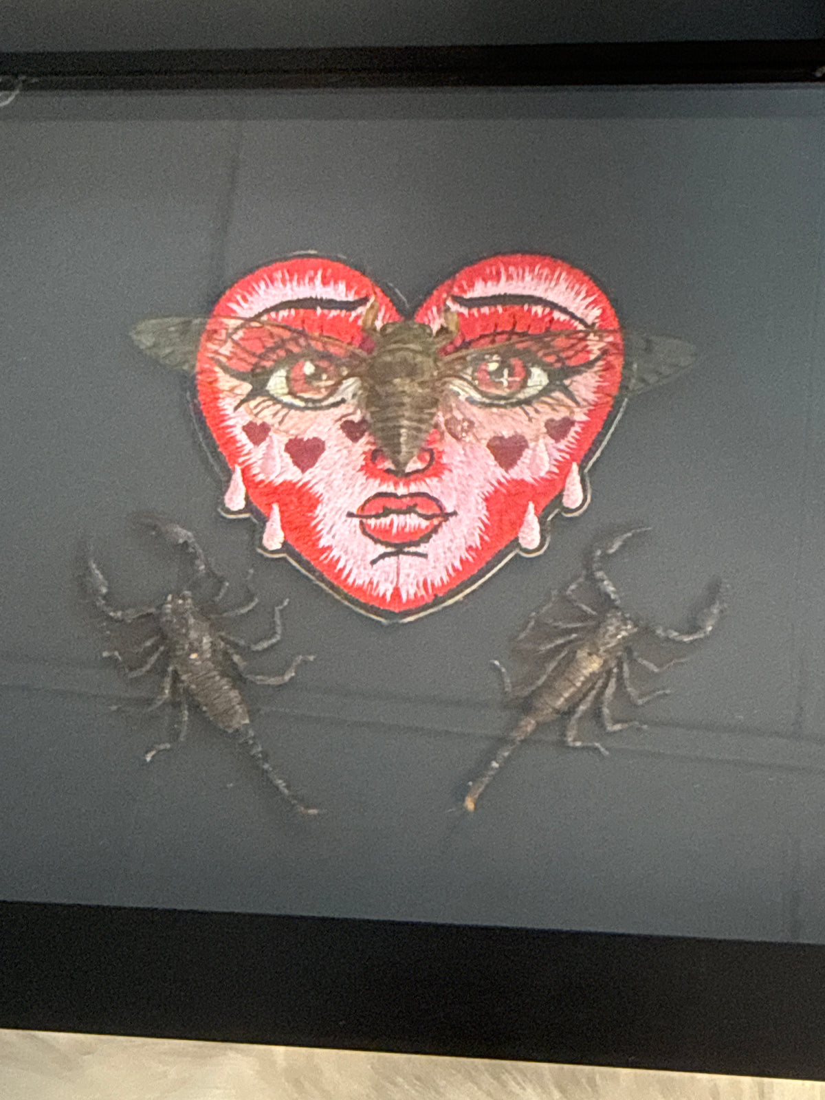 Pomponia Dolosa Cicada & Javan Scorpions in a Frame