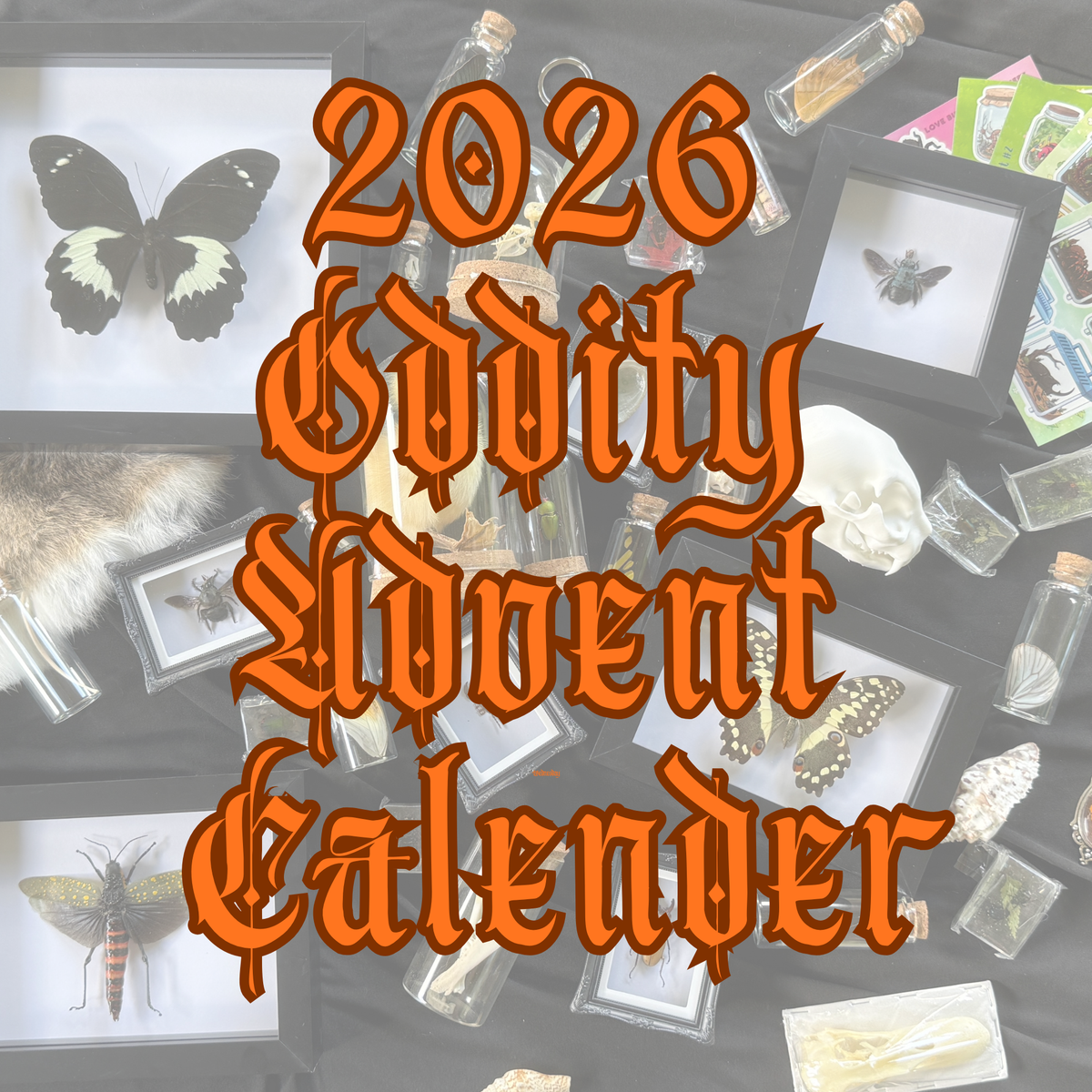 2026 Oddity Advent Calendar