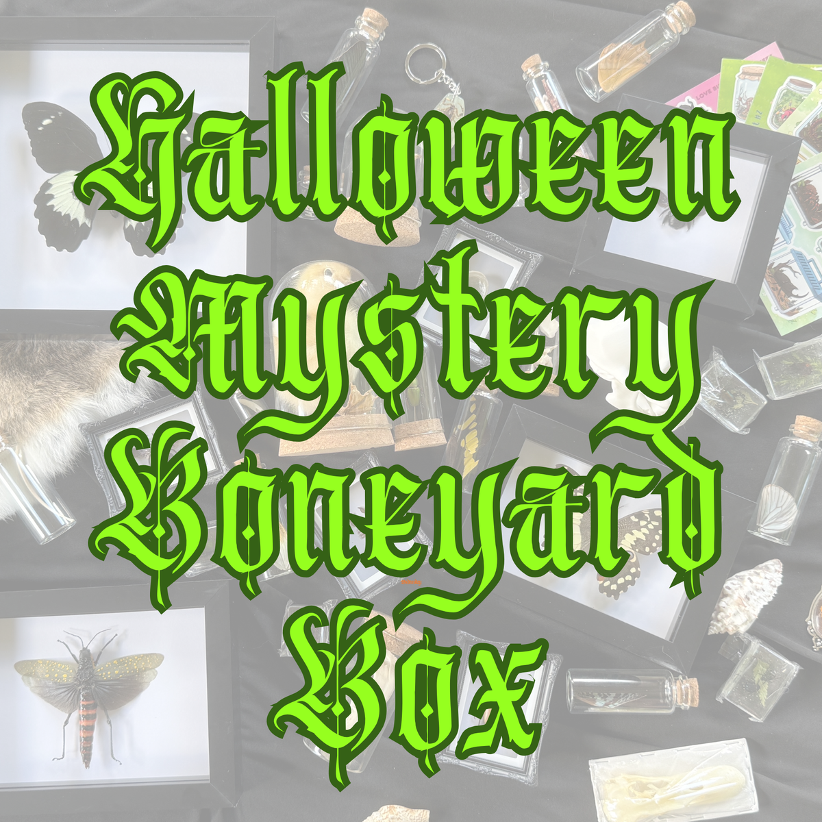 Halloween Boneyard Mystery Box