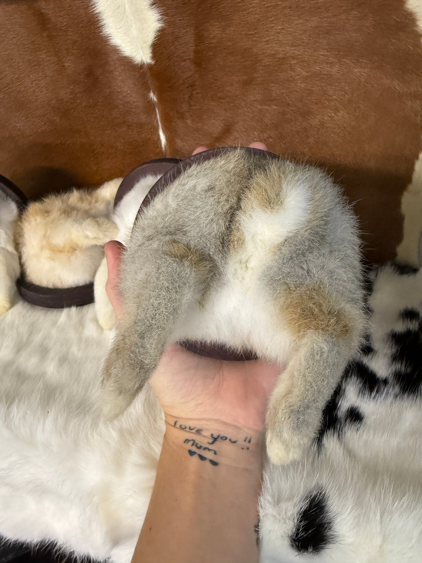 Taxidermy Bunny Butt Wall Mount - Pumpkin Cat Collectables