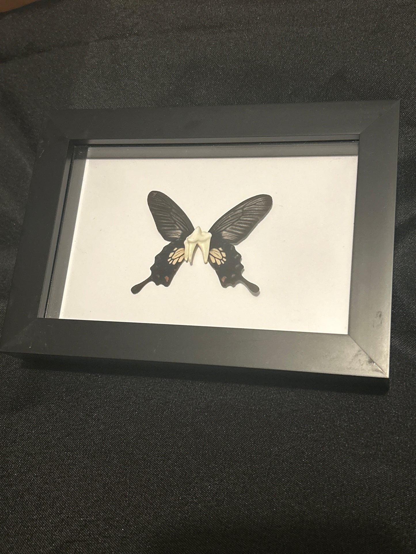 “Tooth Fairy” Frame