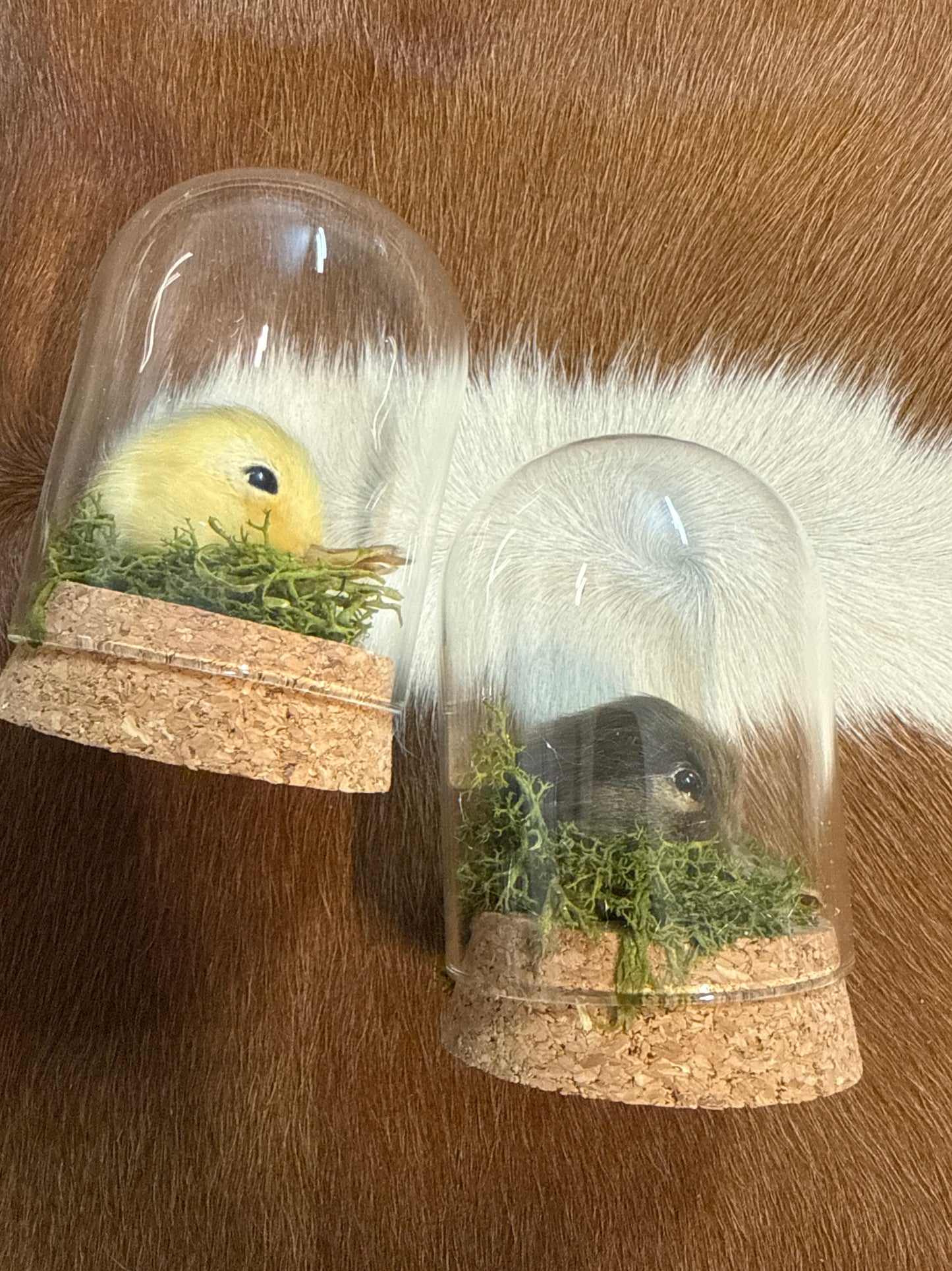 Duck Head Dome