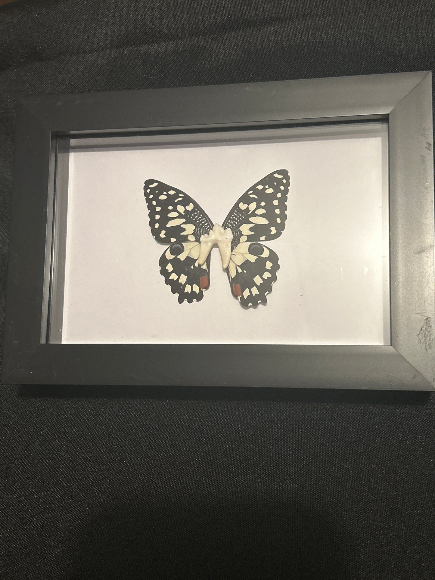 “Tooth Fairy” Frame