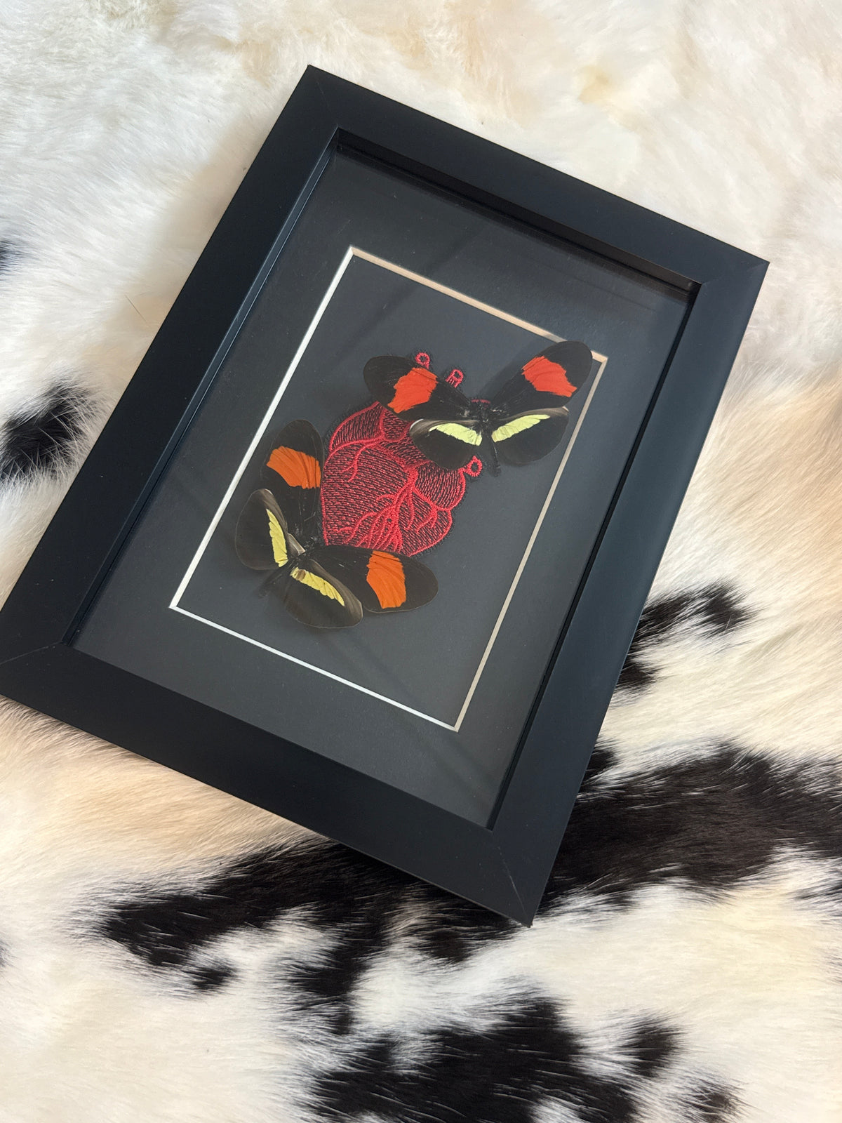 Red & Black Butterfly Duo Frame