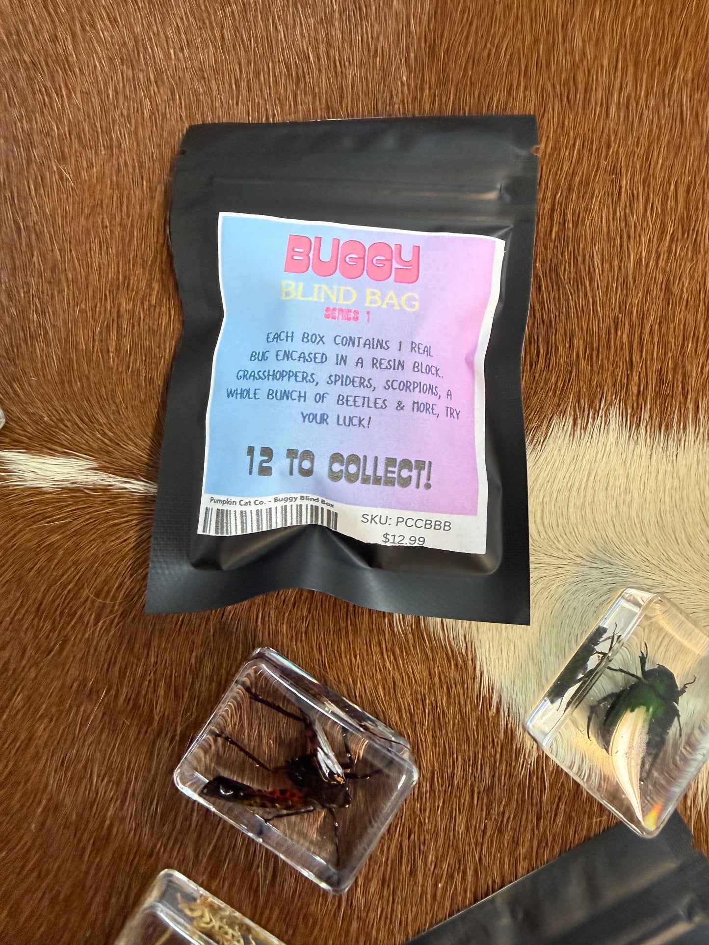 Buggy Blind Bag - Pumpkin Cat Collectables
