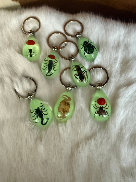 Insect in Resin Keychain - Pumpkin Cat Collectables