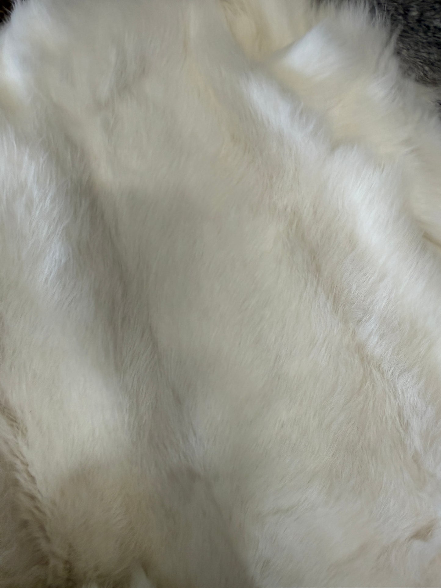 Rabbit Fur Pelt - Pumpkin Cat Collectables