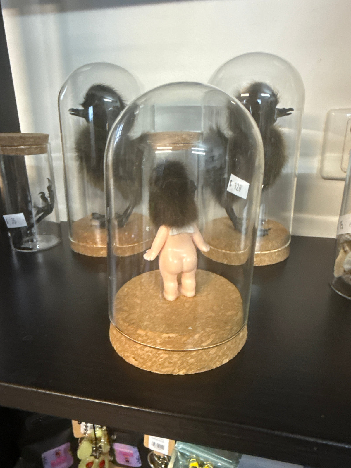 Sonny Duckling Dome