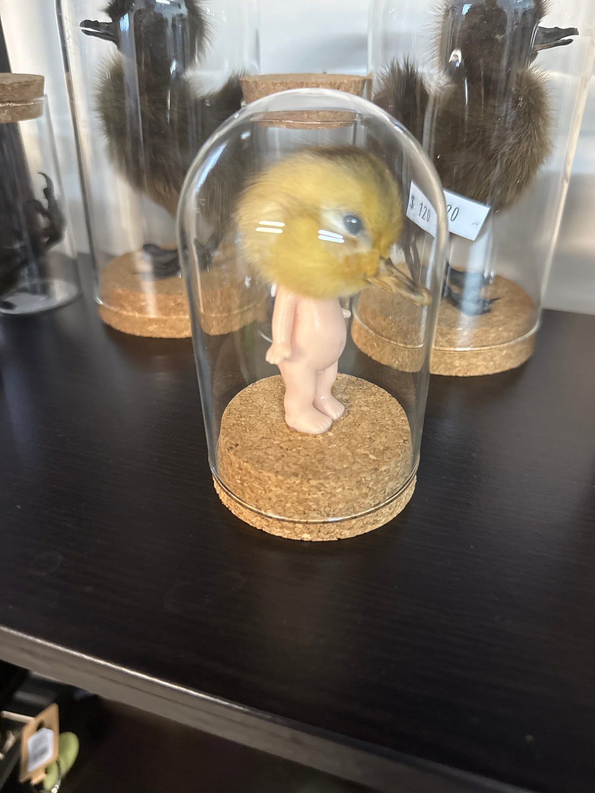 Sonny Duckling Dome