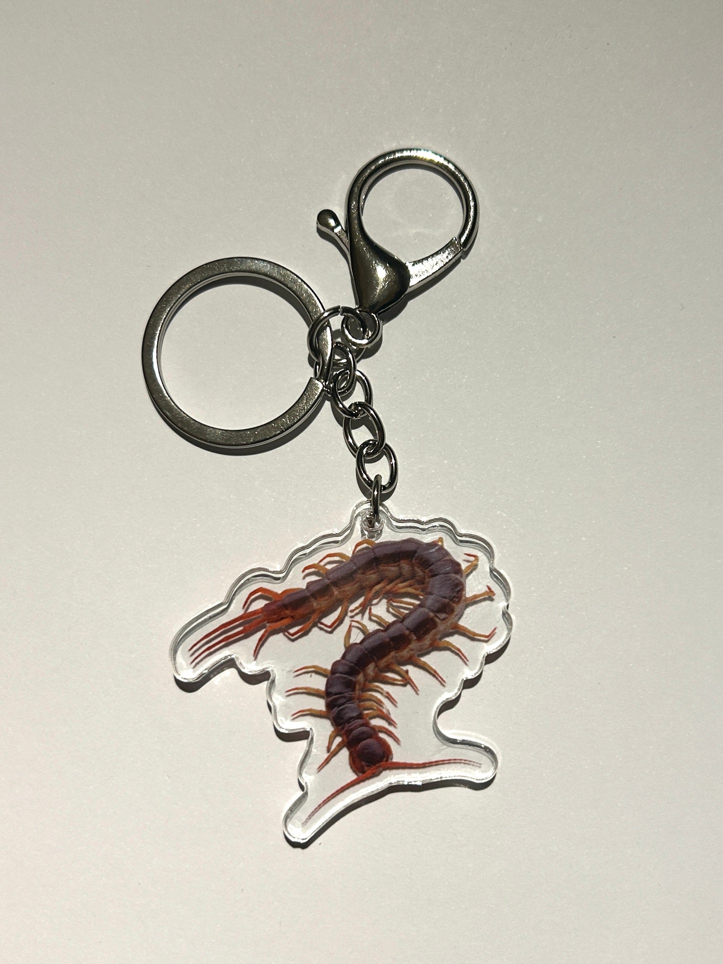 Centipede Acrylic Keychain