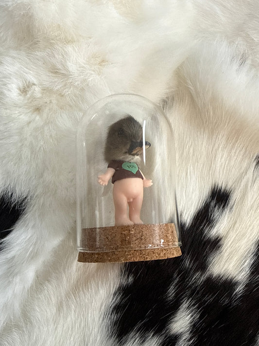 Sonny Duckling Dome