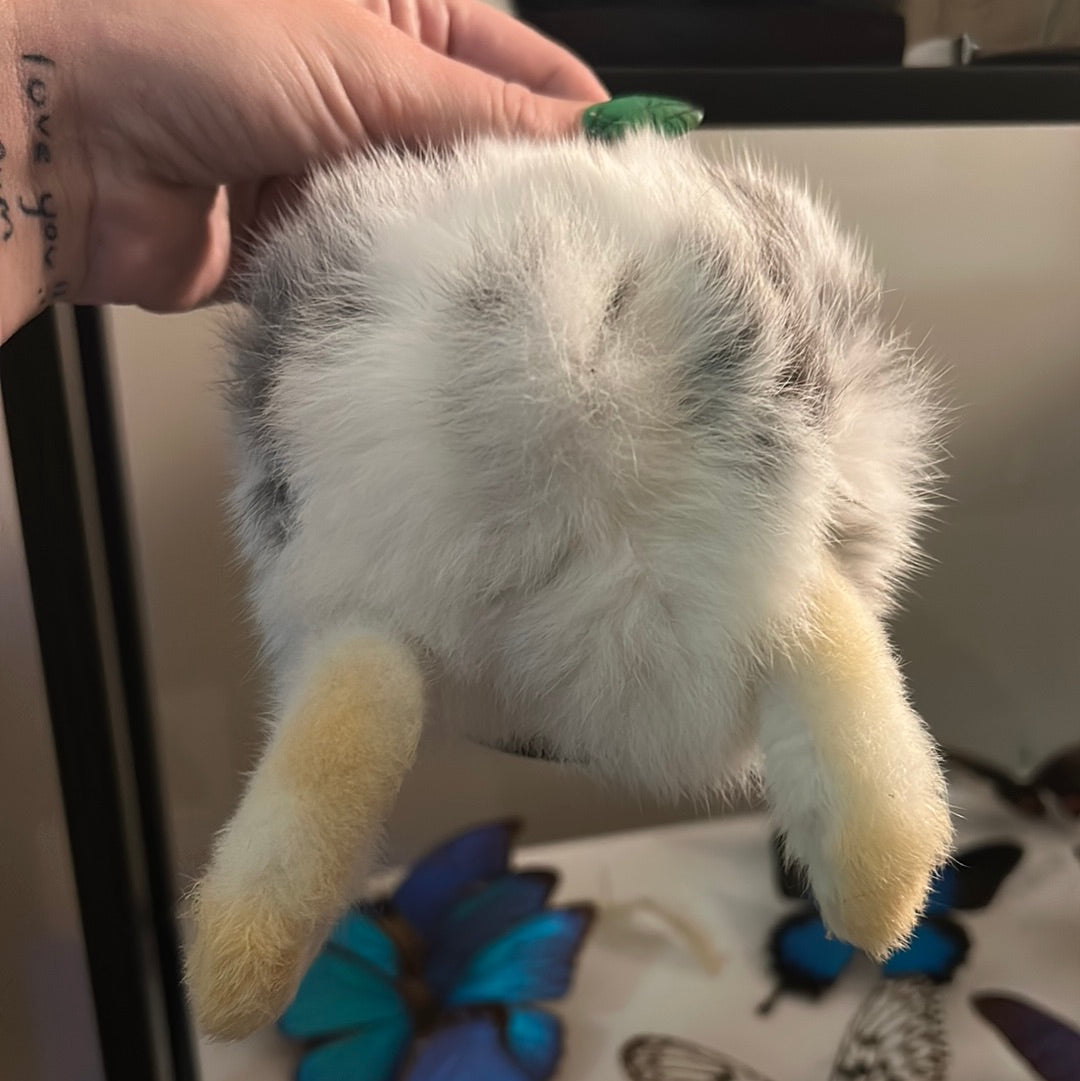 Taxidermy Bunny Butt Wall Mount