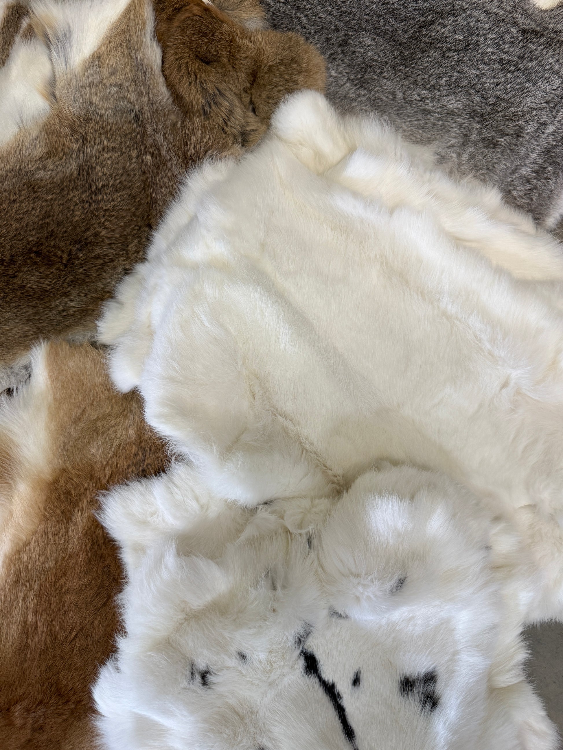 Rabbit Fur Pelt - Pumpkin Cat Collectables