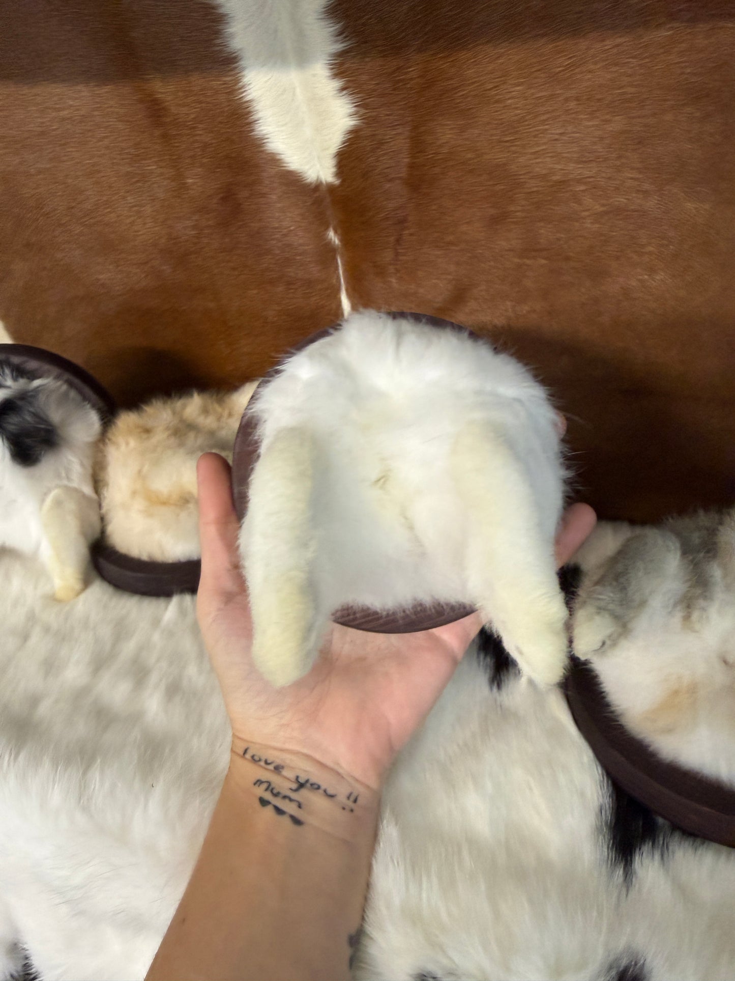 Taxidermy Bunny Butt Wall Mount - Pumpkin Cat Collectables