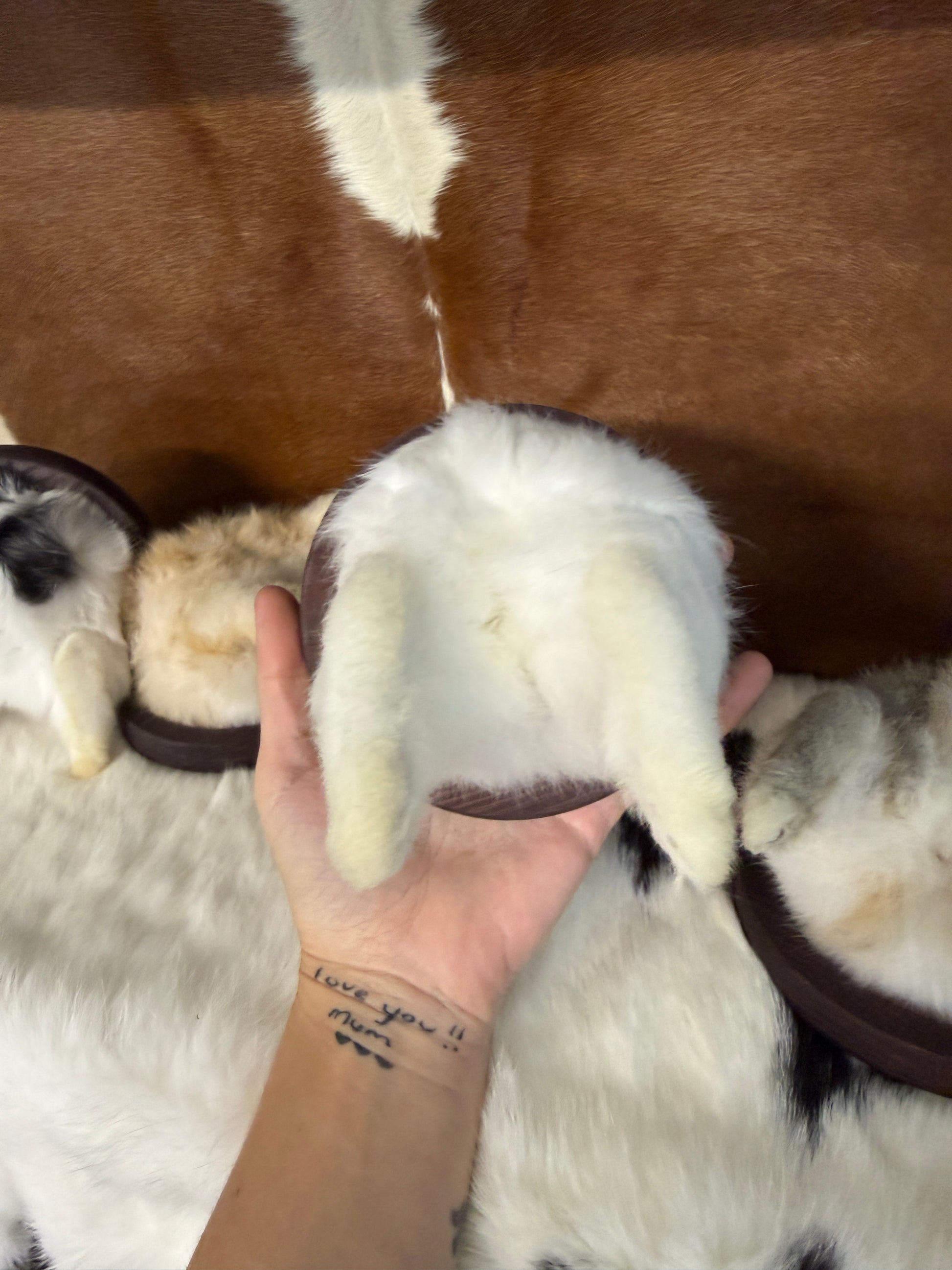 Taxidermy Bunny Butt Wall Mount - Pumpkin Cat Collectables