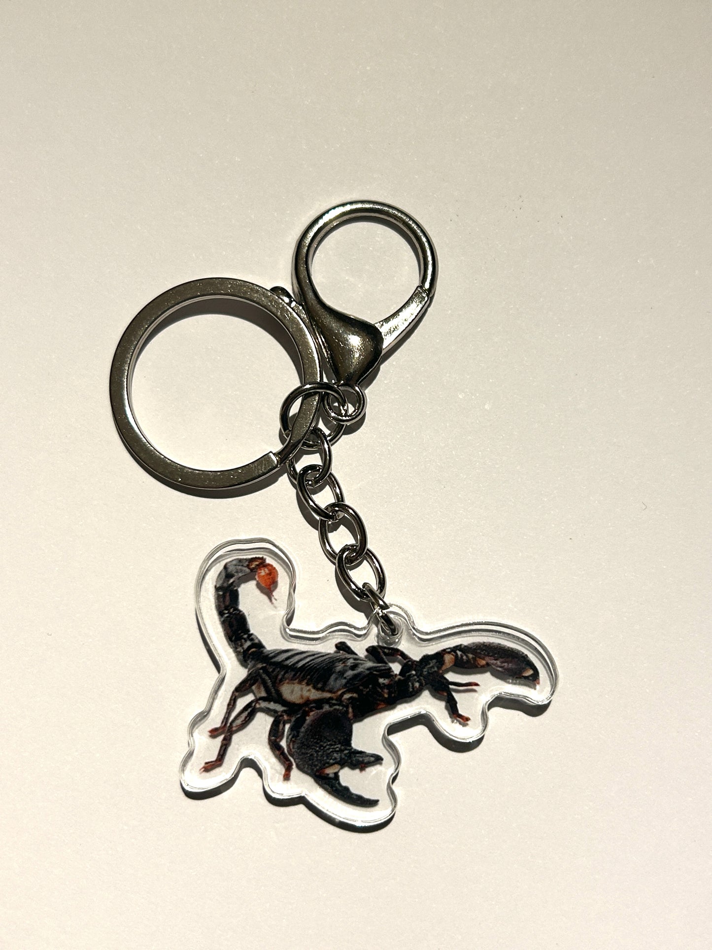 Scorpion Acrylic Keychain