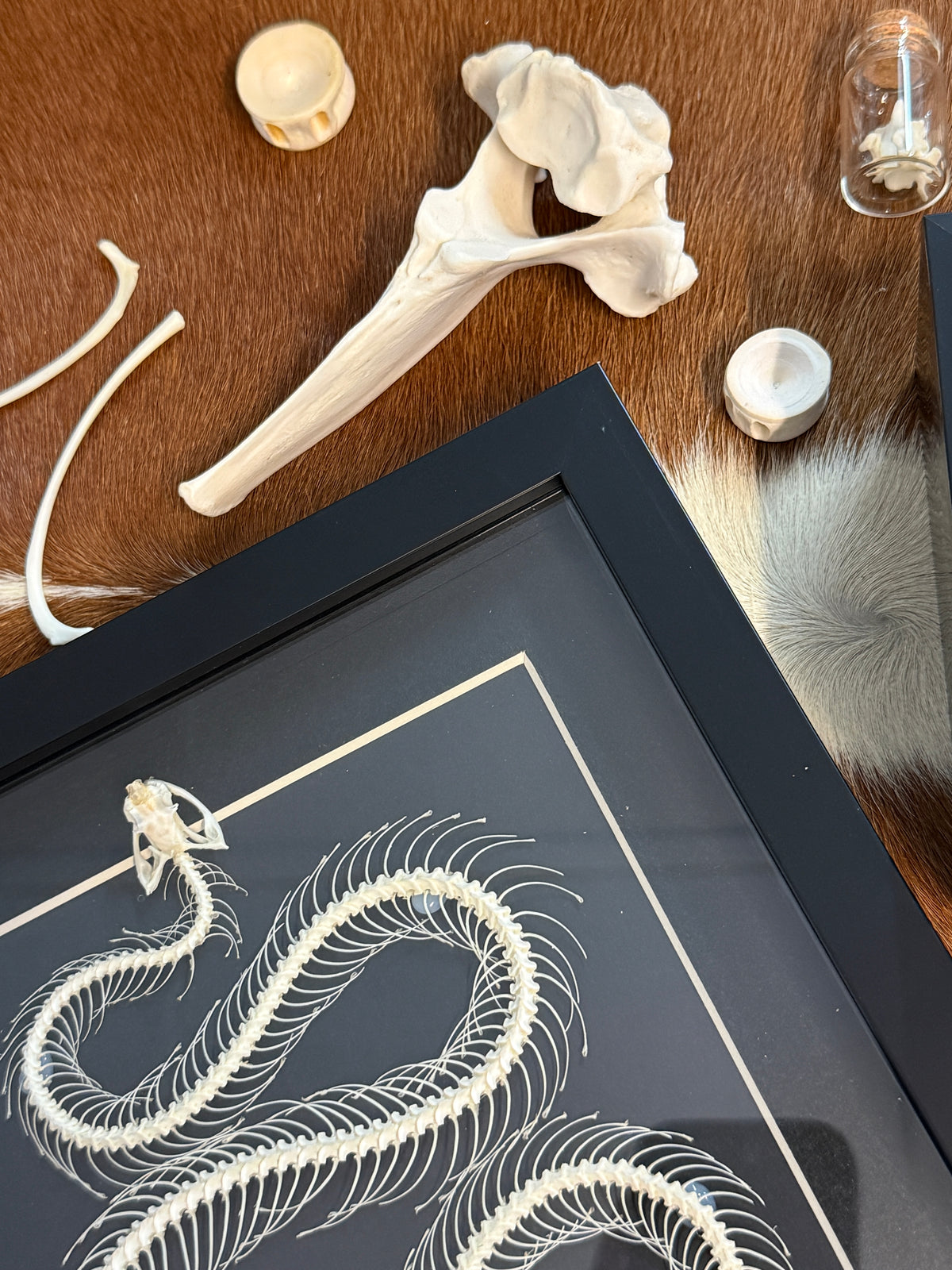Halloween Boneyard Mystery Box