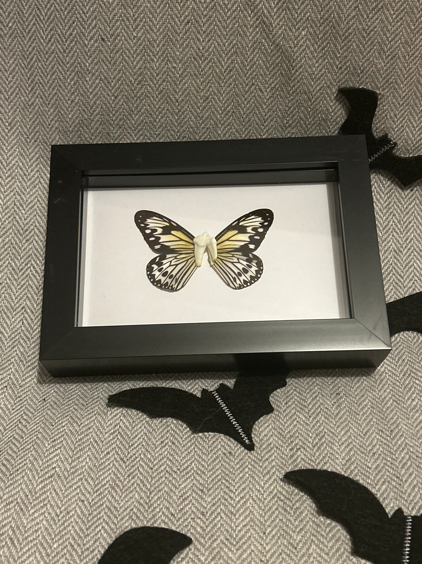 “Tooth Fairy” Frame