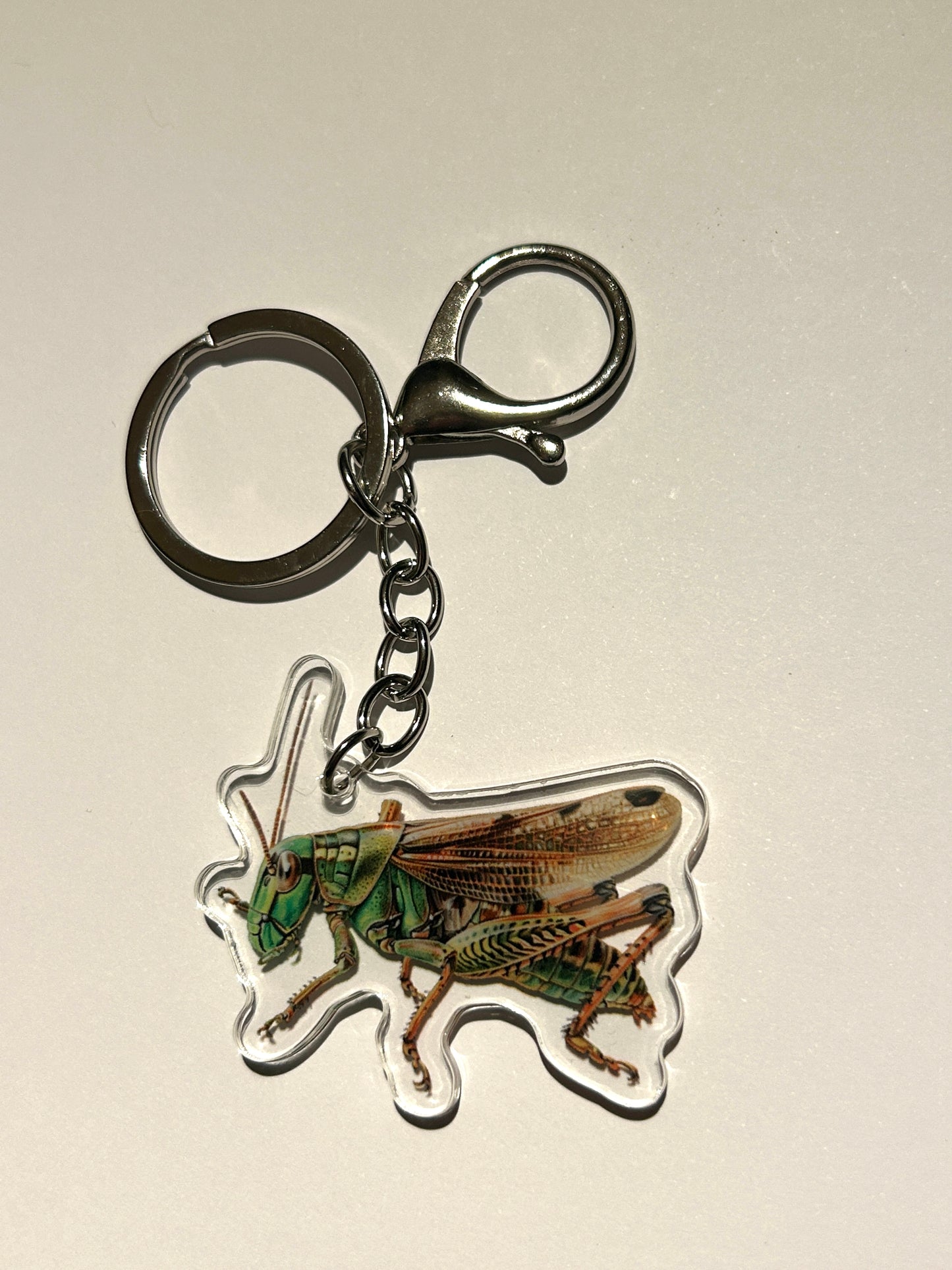 Grasshopper Acrylic Keychain