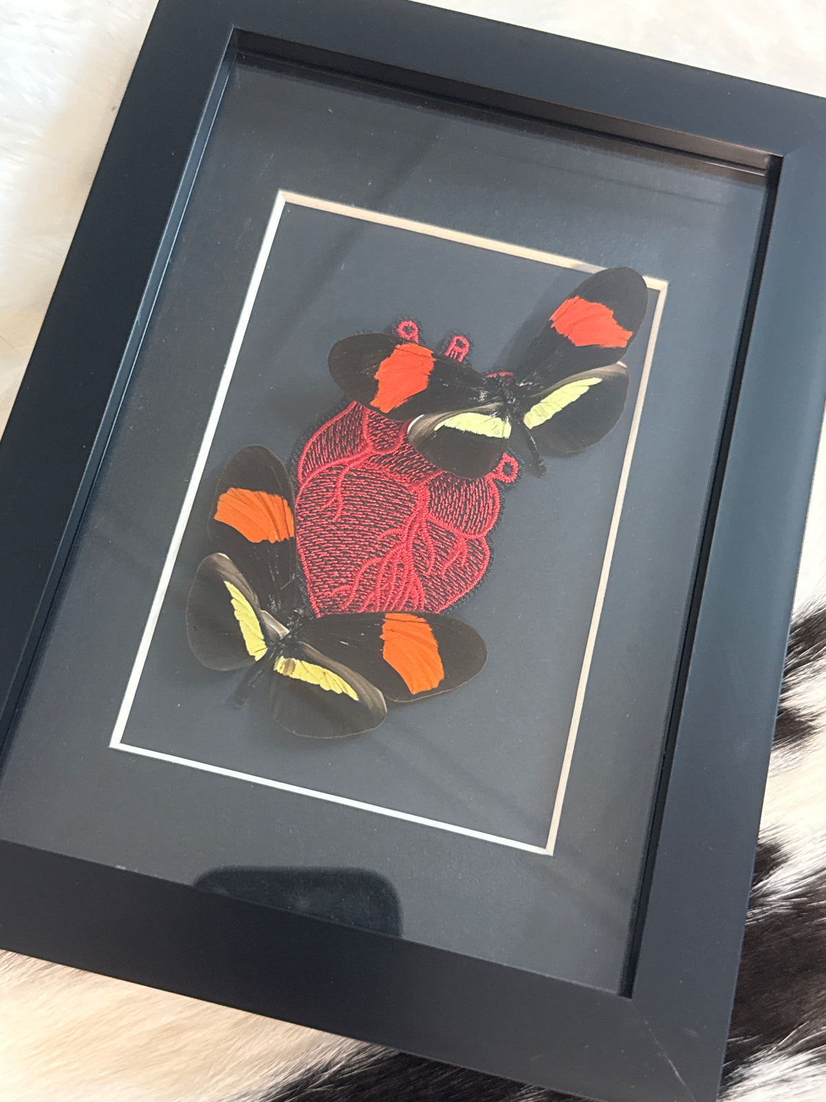 Red & Black Butterfly Duo Frame