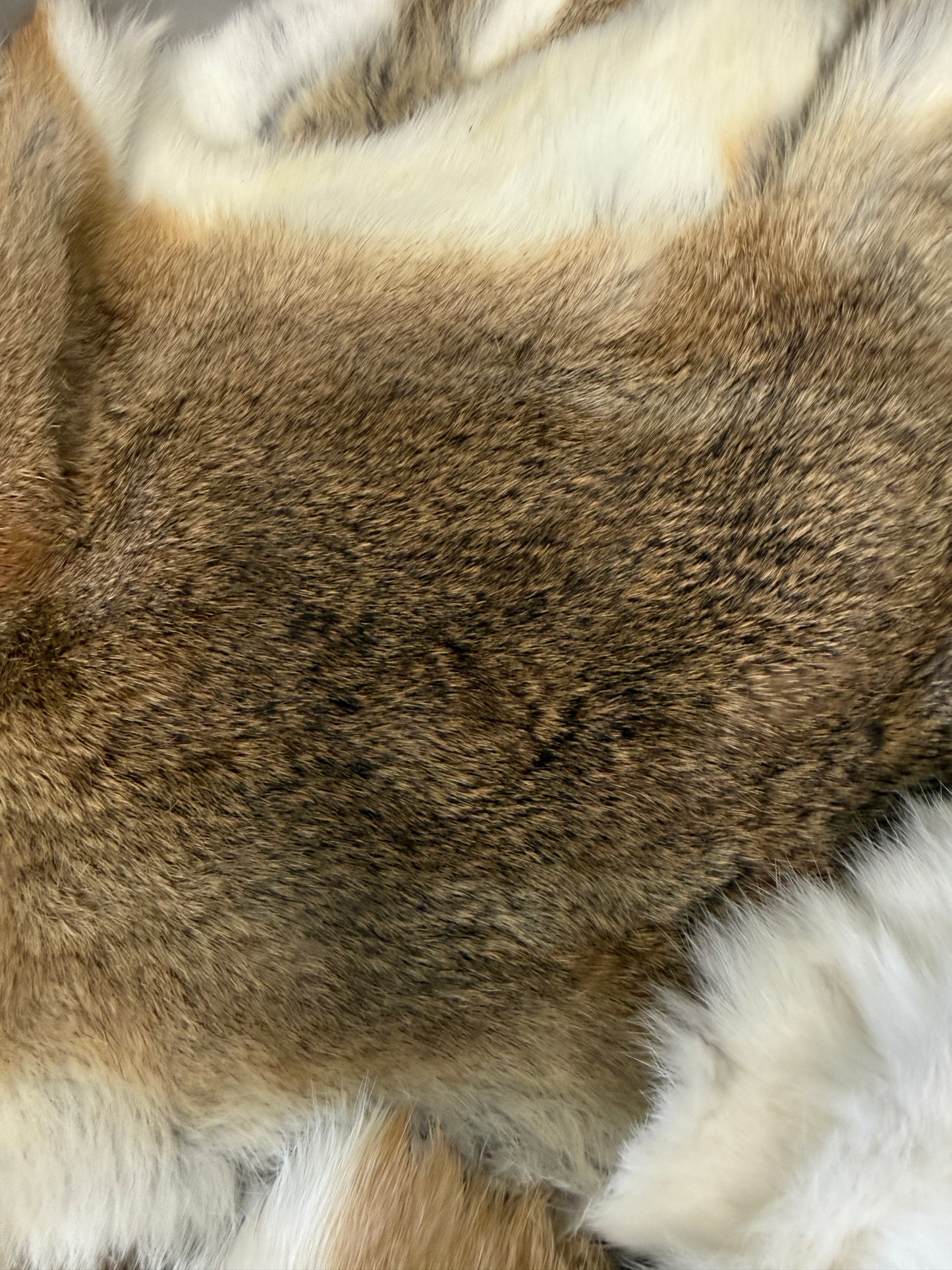 Rabbit Fur Pelt - Pumpkin Cat Collectables