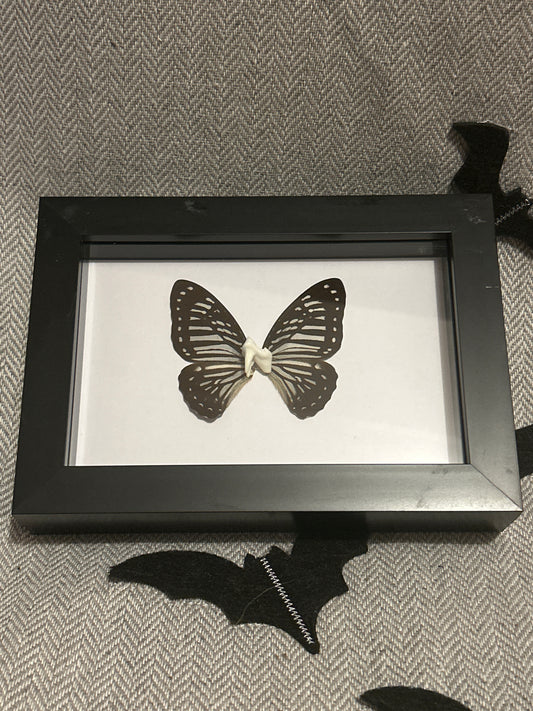 “Tooth Fairy” Frame