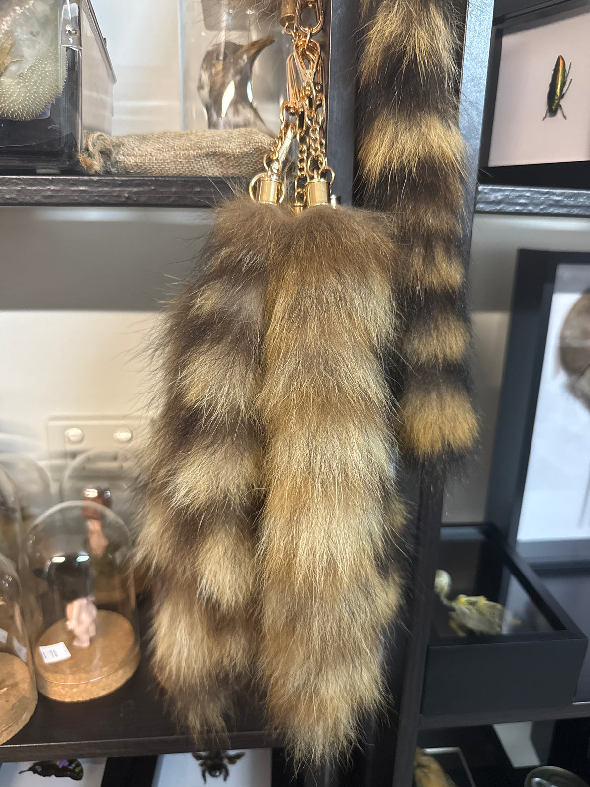Taxidermy Raccoon Tail Keychain