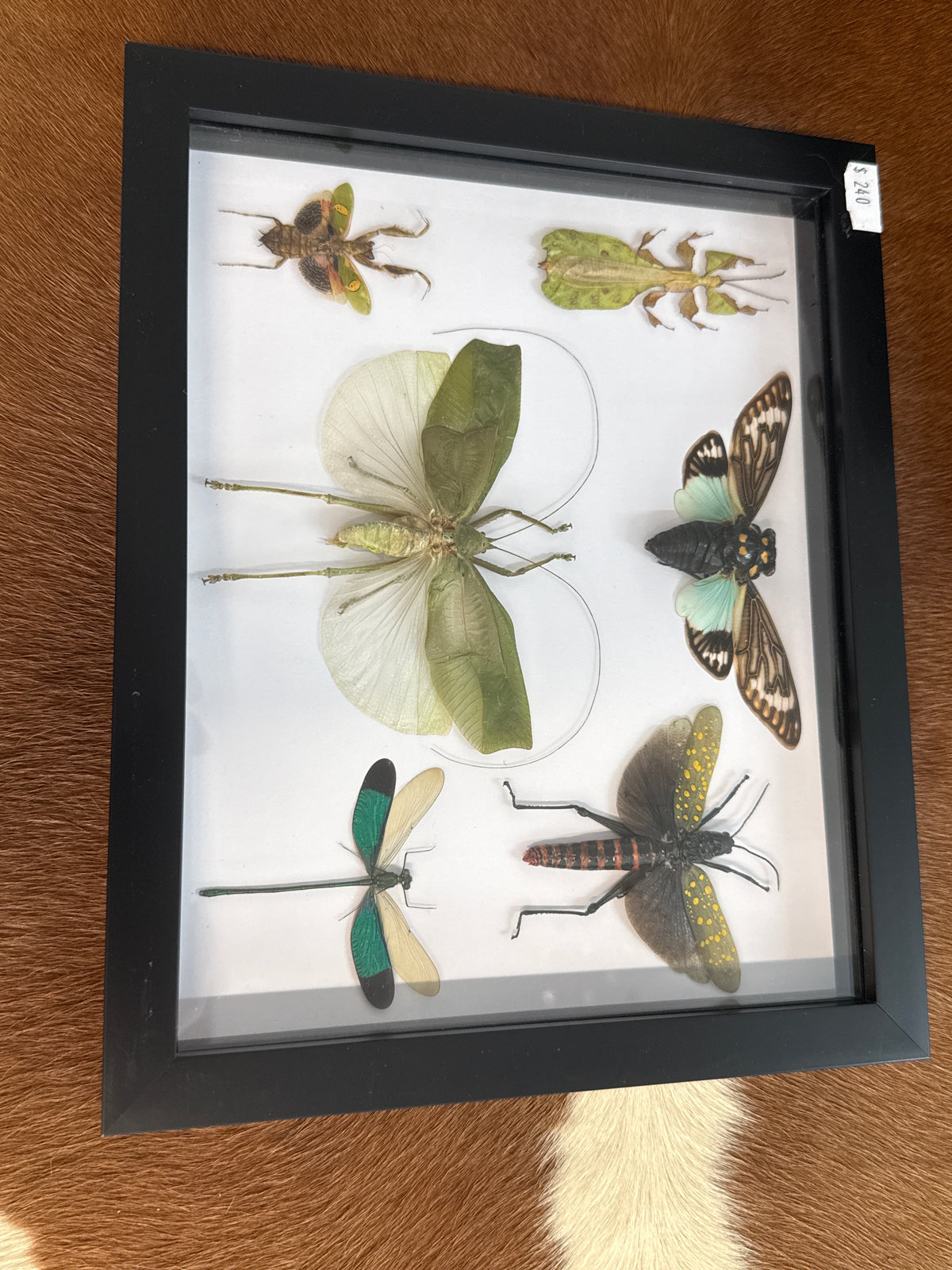 Green Insect Party Frame