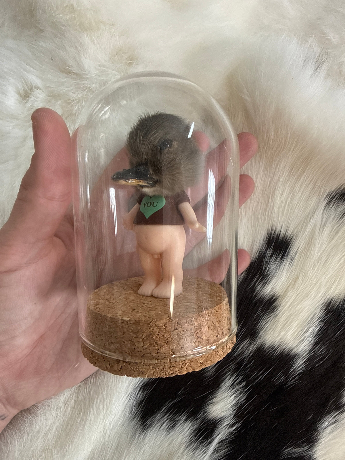 Sonny Duckling Dome