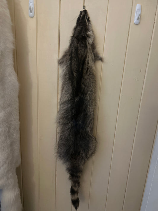 Raccoon Pelt