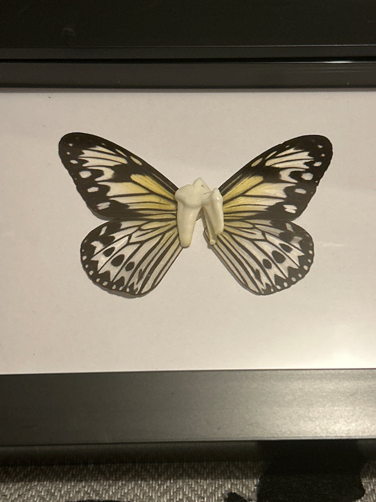 “Tooth Fairy” Frame