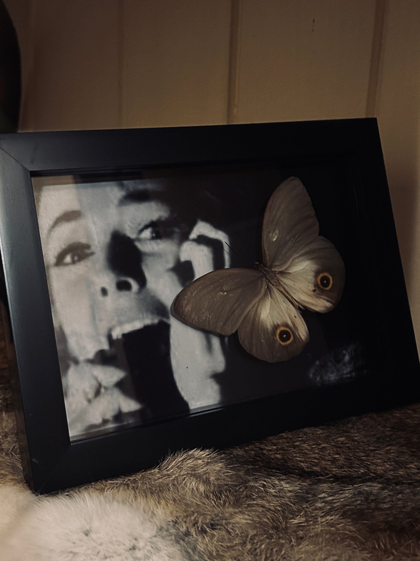 Horror Butterfly Frame